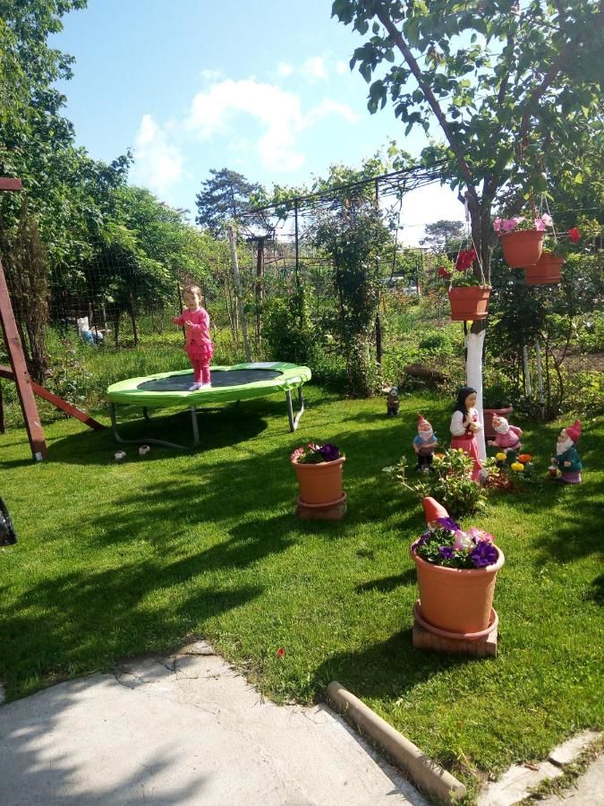 Гостевой дом Casa Alecsandru Эфорие-Норд-20