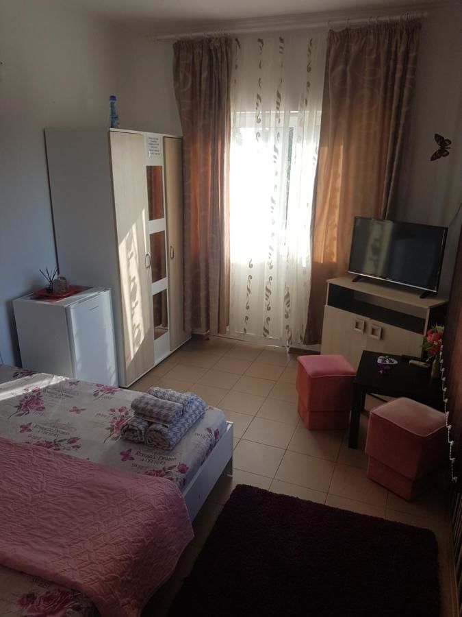 Гостевой дом Casa Alecsandru Эфорие-Норд