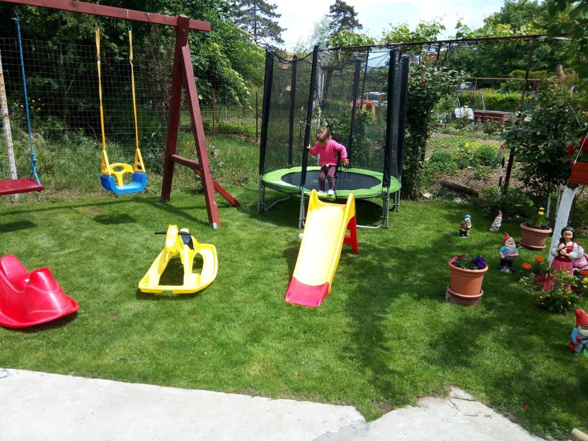 Гостевой дом Casa Alecsandru Эфорие-Норд-25