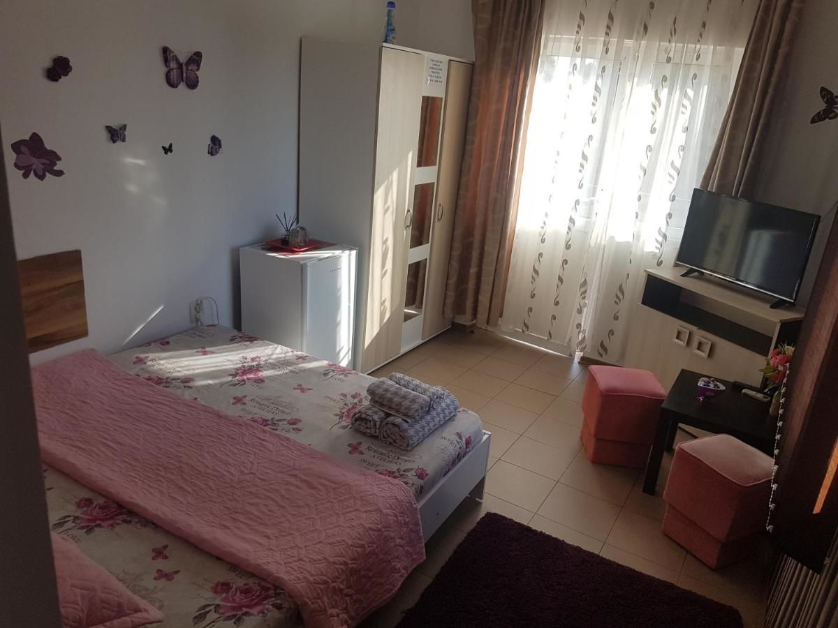 Гостевой дом Casa Alecsandru Эфорие-Норд