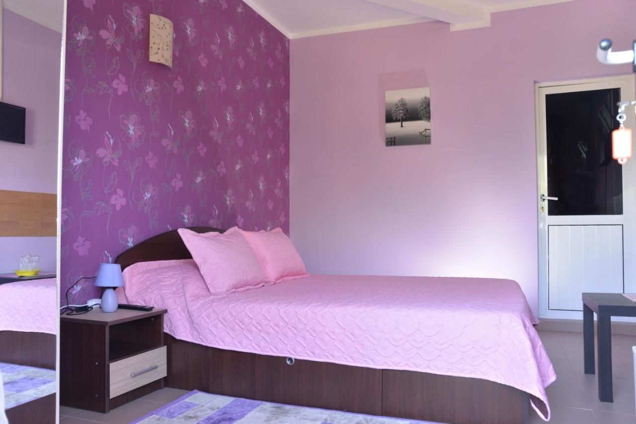 Гостевой дом Casa Alecsandru Эфорие-Норд-43