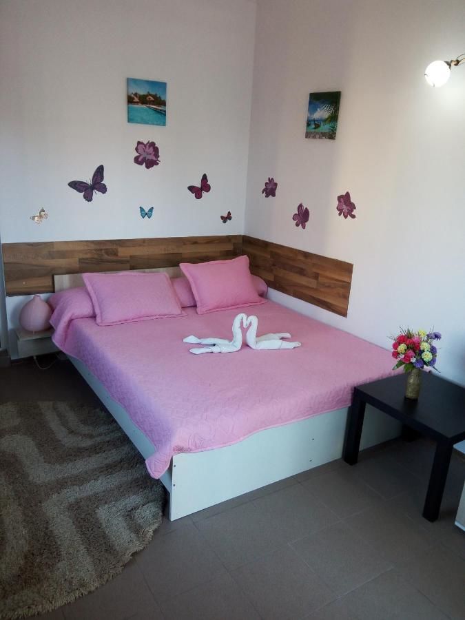 Гостевой дом Casa Alecsandru Эфорие-Норд