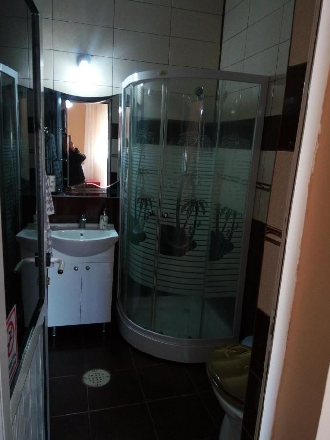 Гостевой дом Casa Alecsandru Эфорие-Норд