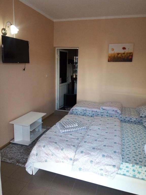 Гостевой дом Casa Alecsandru Эфорие-Норд