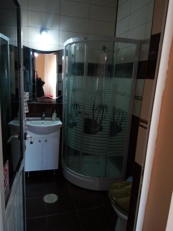 Гостевой дом Casa Alecsandru Эфорие-Норд