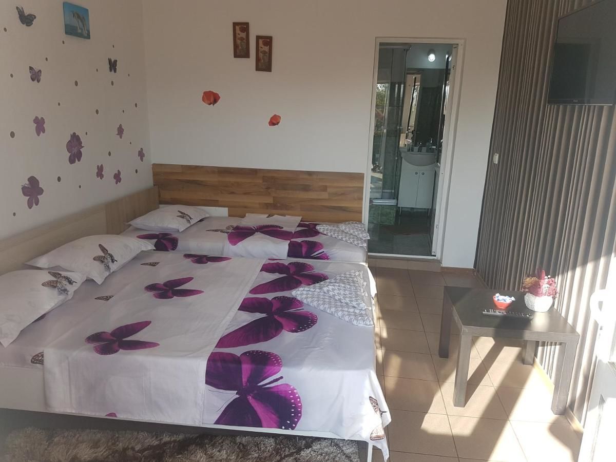 Гостевой дом Casa Alecsandru Эфорие-Норд-9