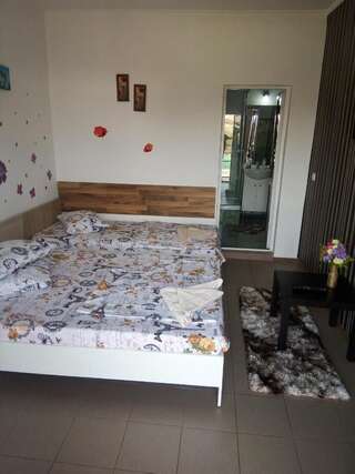 Гостевой дом Casa Alecsandru Эфорие-Норд Трехместный номер-2