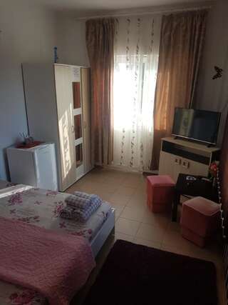 Гостевой дом Casa Alecsandru Эфорие-Норд Двухместный номер с 1 кроватью-1