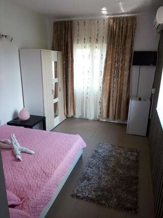 Гостевой дом Casa Alecsandru Эфорие-Норд Двухместный номер с 1 кроватью-3