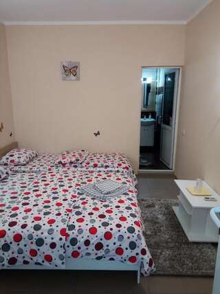 Гостевой дом Casa Alecsandru Эфорие-Норд Трехместный номер-4