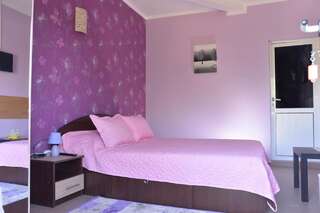 Гостевой дом Casa Alecsandru Эфорие-Норд Двухместный номер с 1 кроватью-3