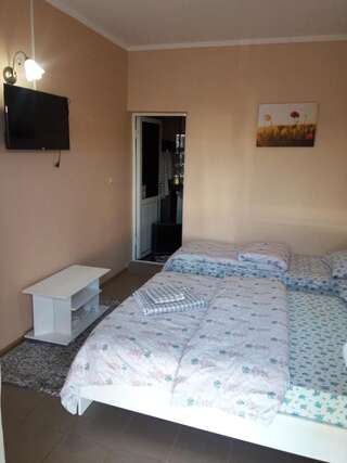 Гостевой дом Casa Alecsandru Эфорие-Норд Трехместный номер-4