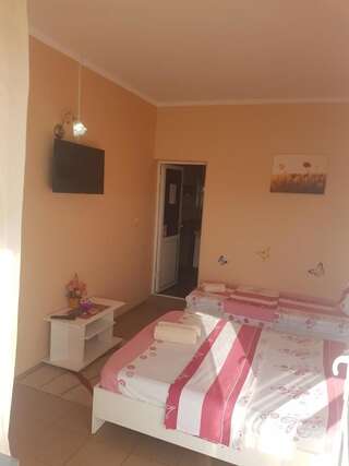 Гостевой дом Casa Alecsandru Эфорие-Норд Трехместный номер-1