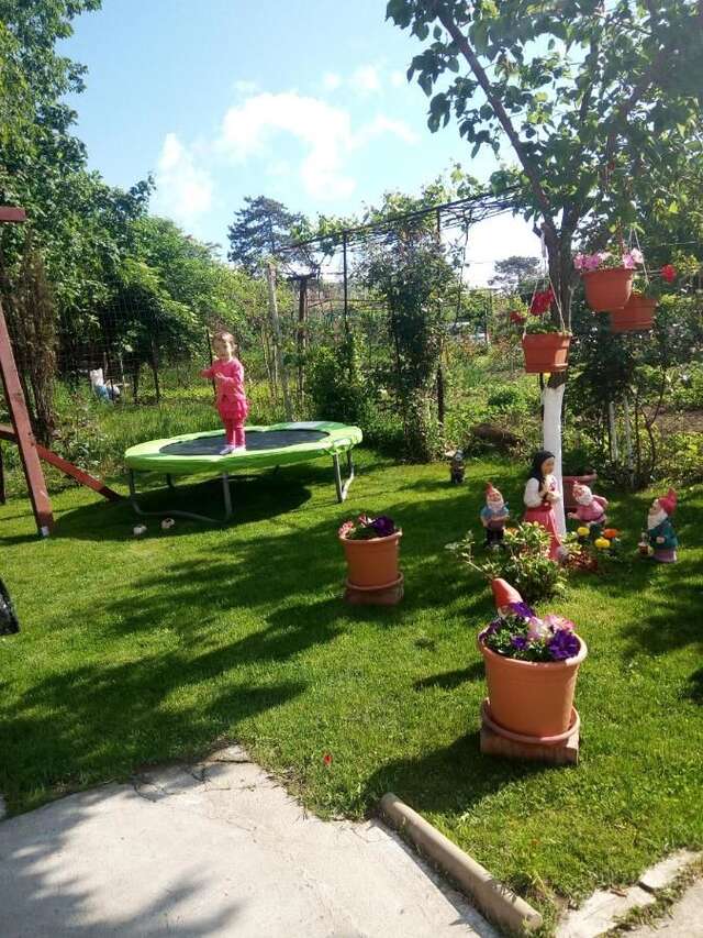 Гостевой дом Casa Alecsandru Эфорие-Норд-19