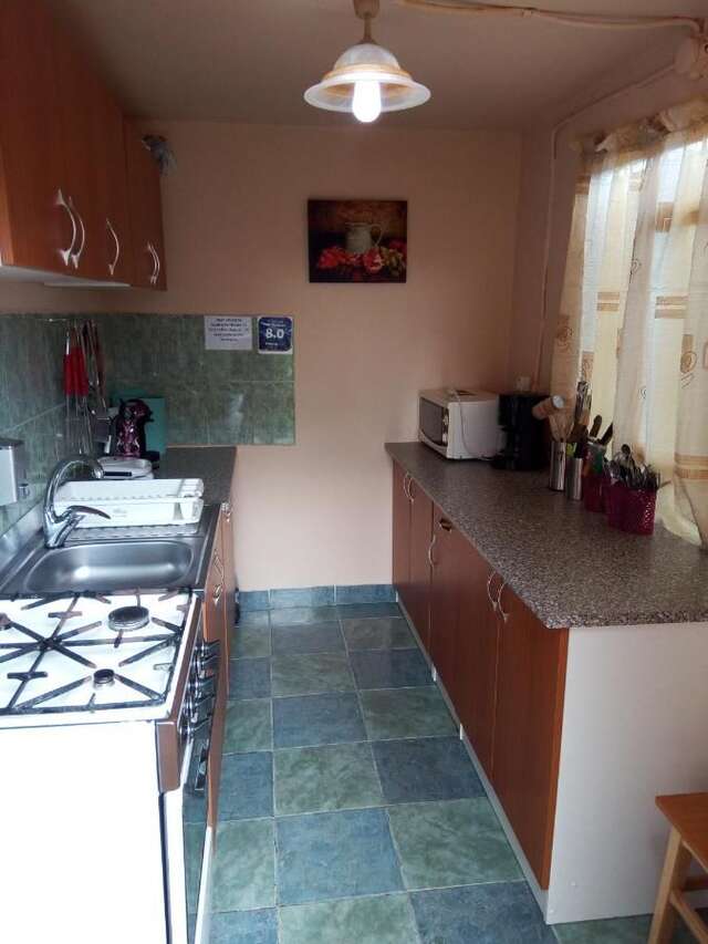 Гостевой дом Casa Alecsandru Эфорие-Норд-33