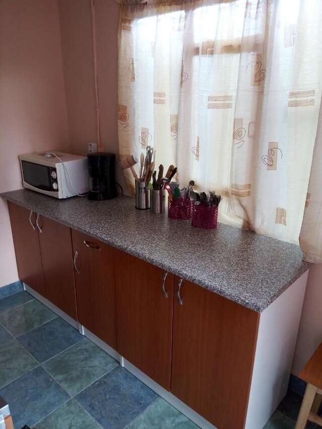 Гостевой дом Casa Alecsandru Эфорие-Норд-34