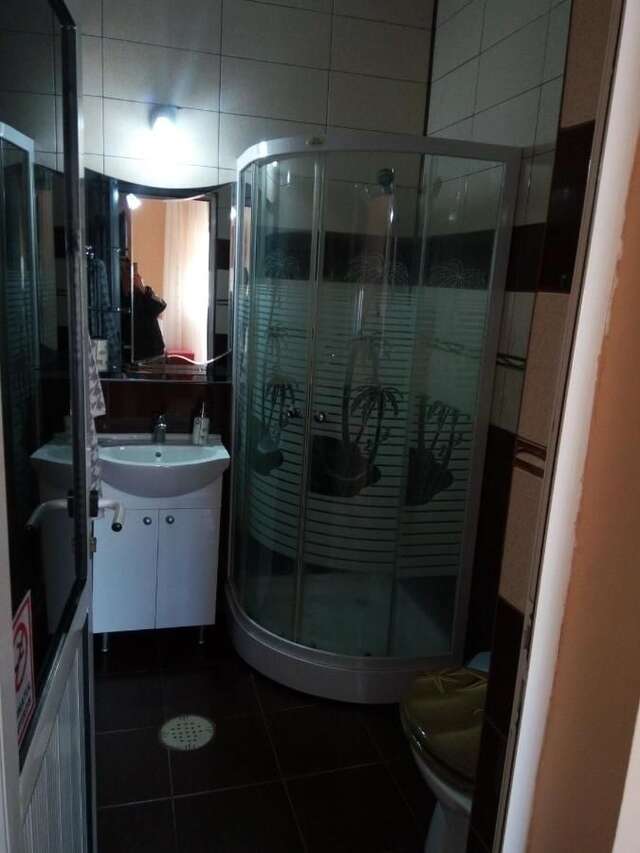 Гостевой дом Casa Alecsandru Эфорие-Норд-46