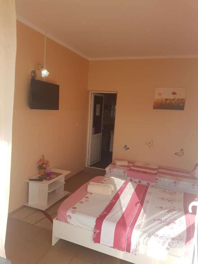 Гостевой дом Casa Alecsandru Эфорие-Норд-10